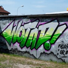 Fight or Die Graffiti Jam in SPARK Nowa Sol at 08.06.2019 by Radek Ostrowski photo no 29 Fight or Die Graffiti Jam in SPARK Nowa Sol at 08.06.2019 by Radek Ostrowski photo no 29