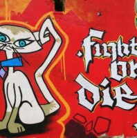 Fight or Die vol.2 Graffiti Jam 2018 in Nowa Sol linia kolejowa 273 Odrzanka SPARK photo by Profilaktyka Nowa Sol no 5